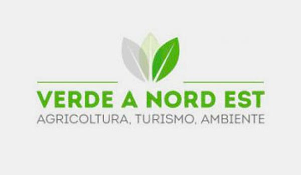 Verde-Nordest-logo