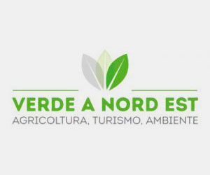 Verde-Nordest-logo